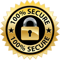 100% Secure Company
