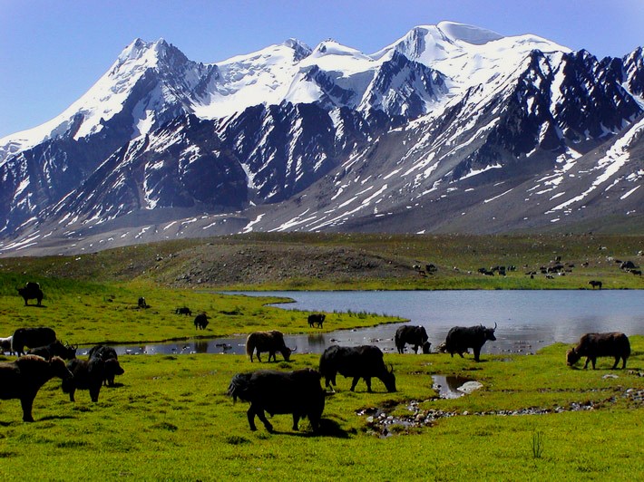 Deosai National Park Land of the Giants