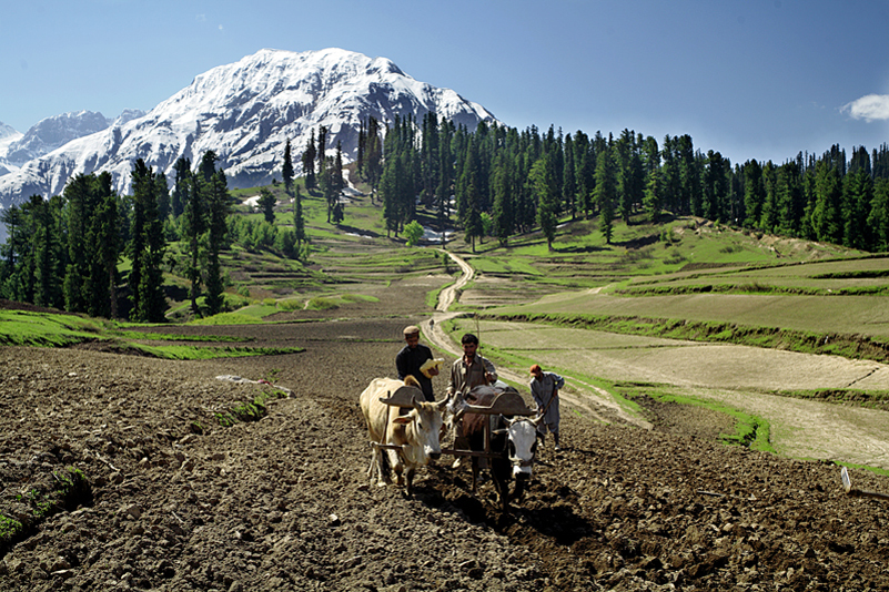 Kaghan Valley Lalazar and Saif ul Maluk