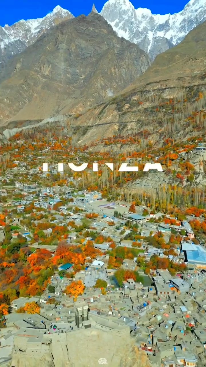 Vivid Aerial Fall Colors